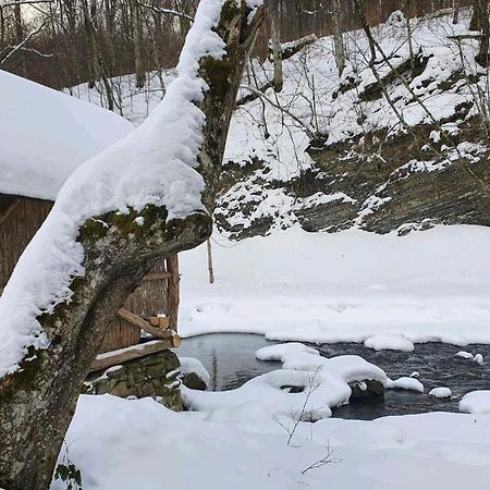 Villa Хатина Біля Потока à Lumshory Extérieur photo