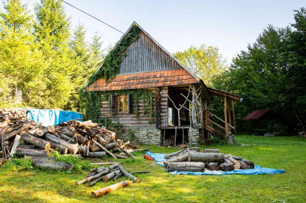 Villa Хатина Біля Потока à Lumshory Extérieur photo