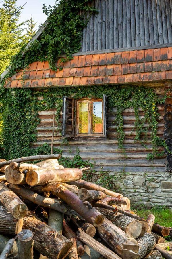 Villa Хатина Біля Потока à Lumshory Extérieur photo