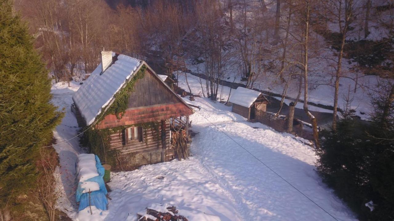 Villa Хатина Біля Потока à Lumshory Extérieur photo