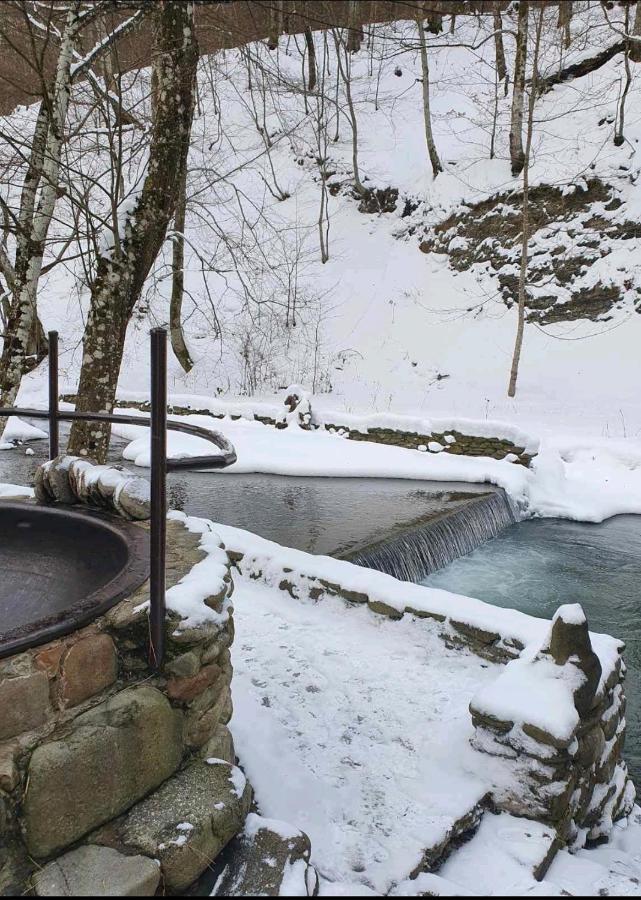 Villa Хатина Біля Потока à Lumshory Extérieur photo