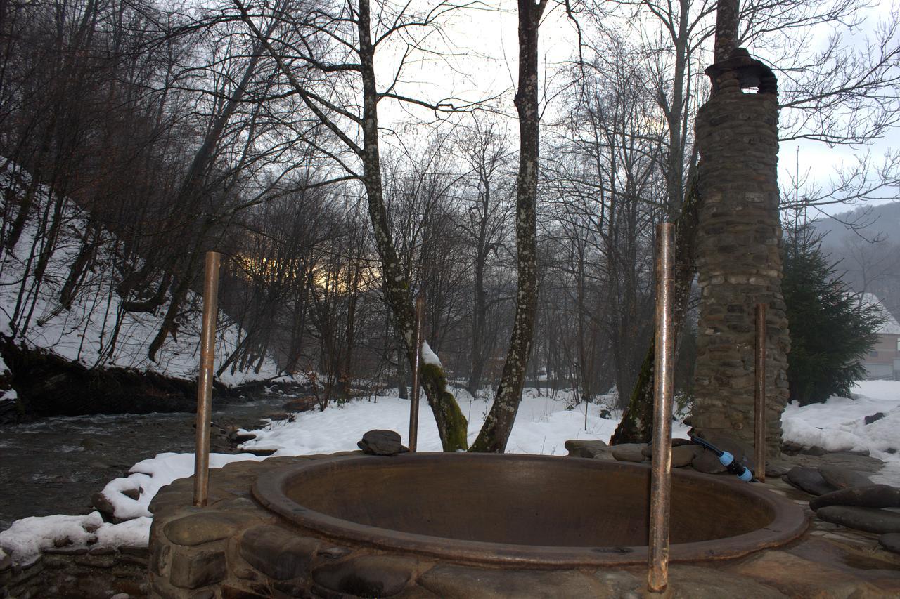 Villa Хатина Біля Потока à Lumshory Extérieur photo