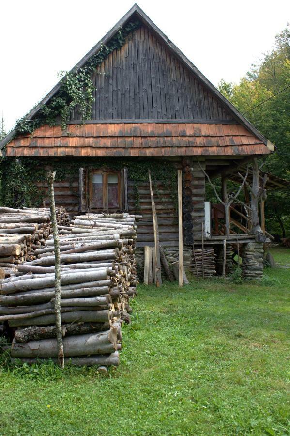 Villa Хатина Біля Потока à Lumshory Extérieur photo